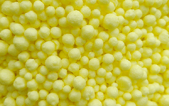 WEIFANG WANHONG CHEMICALS CO.,LTD
